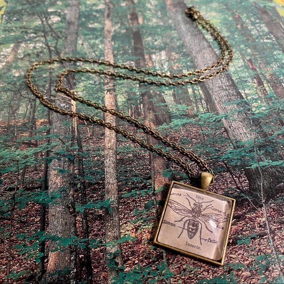Hot Topic Jewelry - Wasp Anatomy Glass Pendant Bronze Necklace